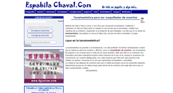 Desktop Screenshot of espabilachaval.com